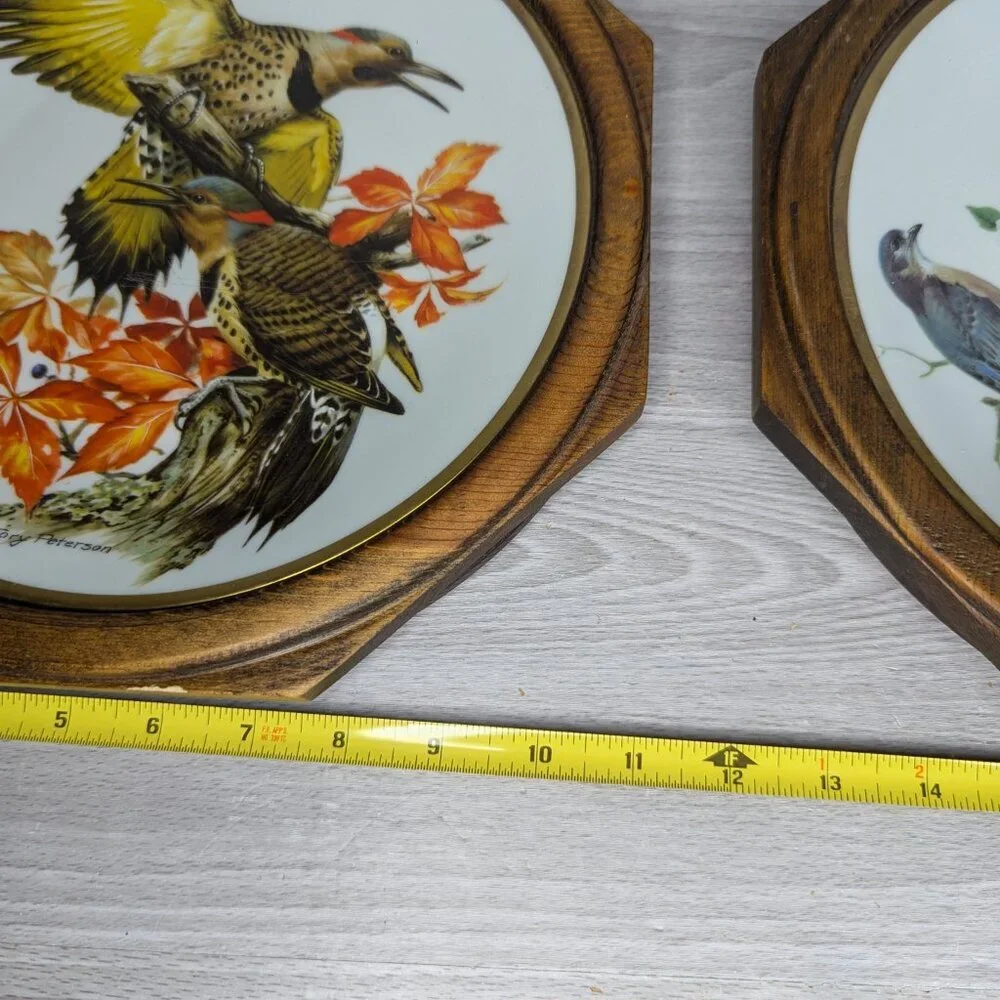 Vintage Roger Tory Peterson Flickers & Bluebird Ceramic Plates Framed 24 kt Gold